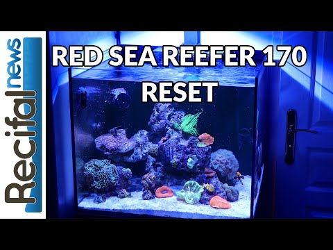 [VLOG#11] Axel :  Red Sea Reefer 170, reset de l'aquarium