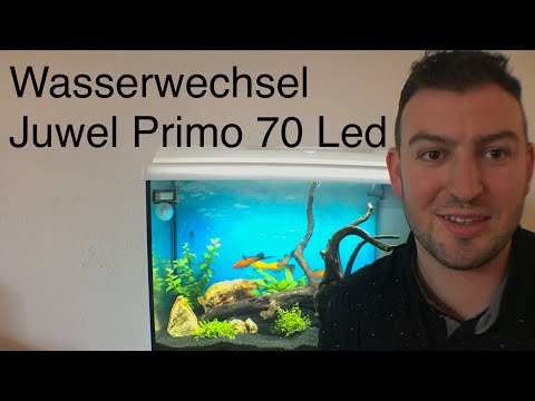 Wasserwechsel im Juwel Aquarium Primo 70 Led