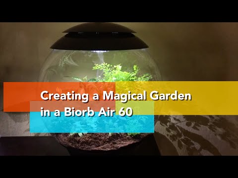 Watch me create a magical garden in my Biorb Air 60