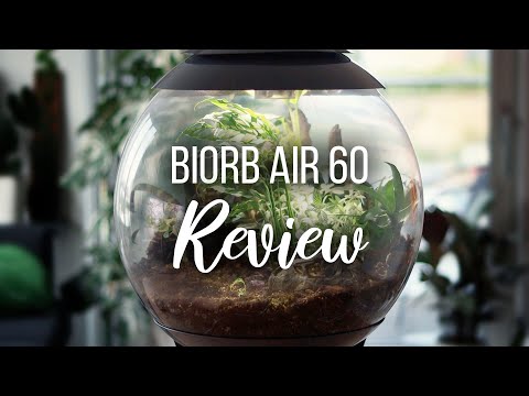 Watch this before buying a BiOrb Air | Biorb Air 60 Terrarium Review