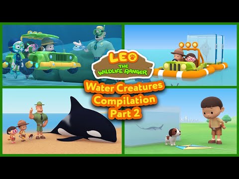 Water Animals Part 2 – Leo The Wildlife Ranger (Compilation)
