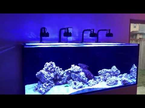Waterbox Platinum Pro 190.5 — Kessil A360X Update (Part 1)