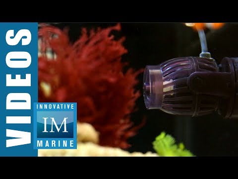 Wavelink™ AIO Wavemaker by Innovative Marine