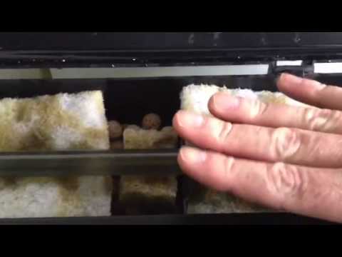 What to do if you think your aqua one aquarium is leaking