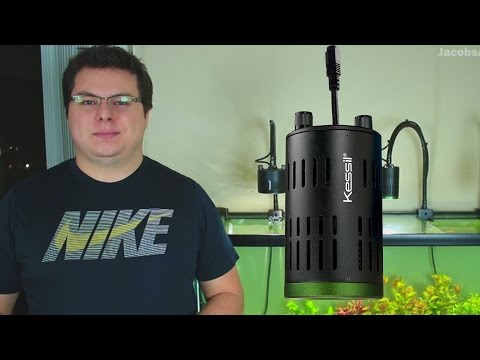 Which Kessil is Right For You