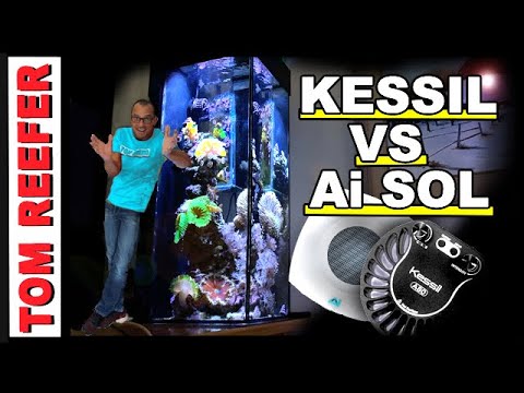 Which Light Grows Coral Faster? (KESSIL A80 VS. AI PRIME SOL)- Results