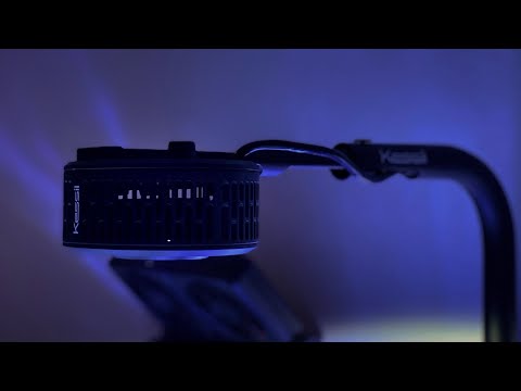 Why I chose a Kessil A360X Over an AP9X! Reef Build *Part 5*