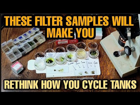 Why "Jump Cycling" Your Aquarium Filter Can be Risky: 6 Samples at 6 Ages. Cycled vs. Seasoned Tanks