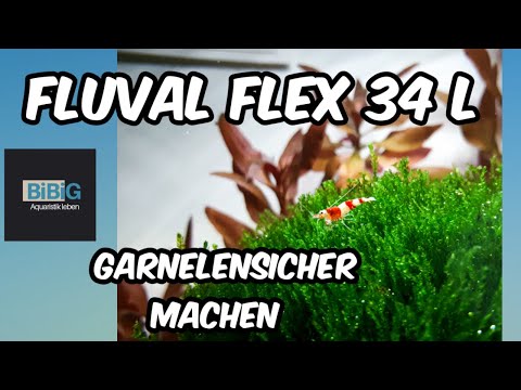 Wie du dein Fluval Flex 34 l Filter garnelensicher machen kannst | BiBiG