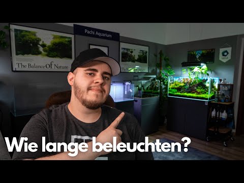 Wie lange beleuchte ich meine Aquarien?