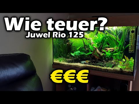 Wie teuer war mein Juwel Rio 125? (118)