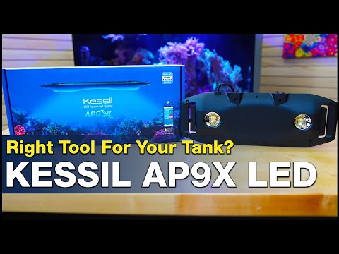 Will the Kessil AP9X be the right tool for one of the most challenging reef tanks we try to keep?