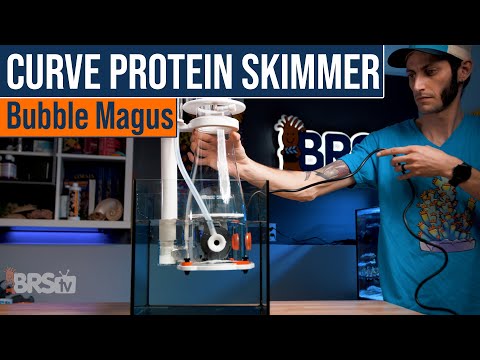 Your Protein Skimmer Doesn't Have To Wreck Your Budget! Check Out These Bubble Magus Curve Skimmers.