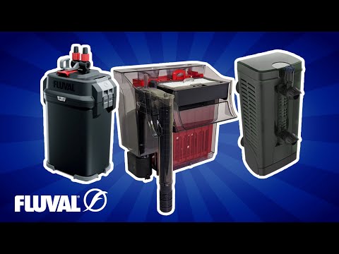 AQUARIUM FILTRATION | Buyer’s Guide
