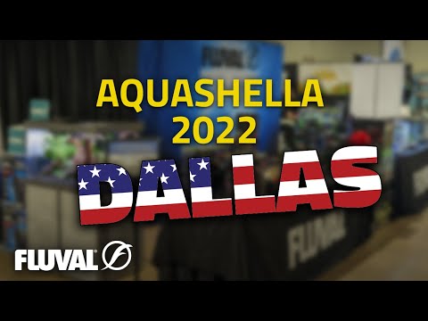Aquashella Dallas 2022 | SHOW HIGHLIGHTS