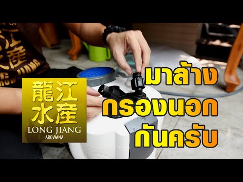 4 ขั้นตอน การล้างกรองตู้ปลา กรองนอก/กรองสำเร็จรูป ล้างอย่างไร มาดูแนวทางจากหลงเจียงอโรวาน่ากันครับ