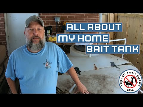 All About My Home Bait Tank!!! #livebait #gizzardshad #striperfishing