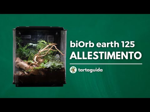 Allestimento biOrb earth 125: terrario per rettili/anfibi AUTOMATIZZATO – TartaGuida