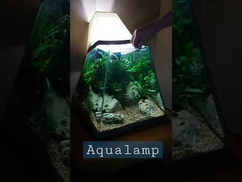 Aqualamp Unique Designer Biorb Lava Lamp Aquarium Terrarium Vivarium Nano Fish Tank Pyramid