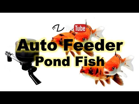 Auto Feeder – Jebao Fish Feeder Fd-85