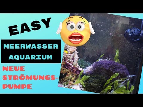 Bessere Strömung im Aquarium | Unboxing Jecod/Jebao SOW-8 Strömungspumpe