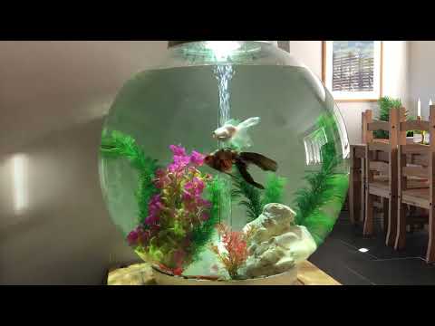BIORB 105 LITRE FEB 2022