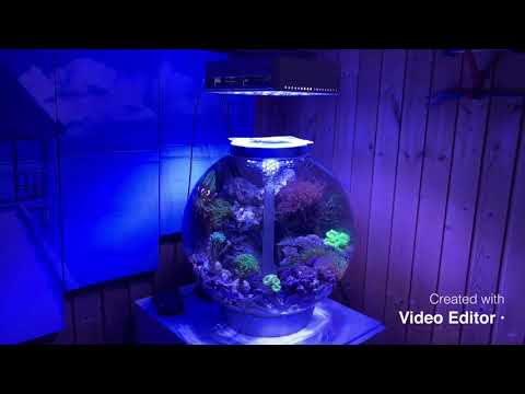 Biorb 105 Meerwasser Marine