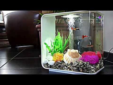 Biorb 15L Aquarium for Xander
