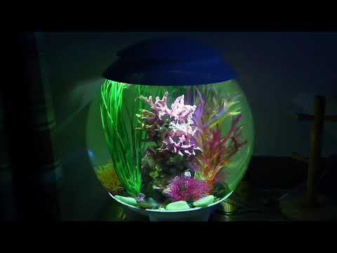 Biorb 60 litre tank