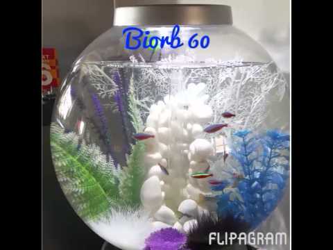 Biorb 60 Tropical
