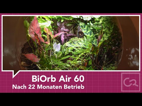 BiOrb Air 60 – Nach 22 Monaten Betrieb