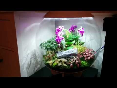 BiOrb Air – New Updates in HD