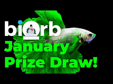 biOrb Aquariums |  You could win the January 2022 Prize Draw!