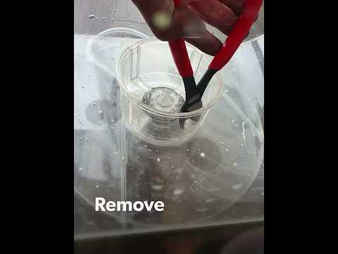 Biorb conversion modification to external filtration sand marine salt brackish