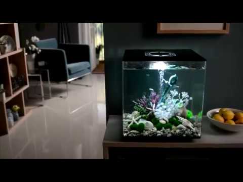 biOrb CUBE, www.mybiorb.nl