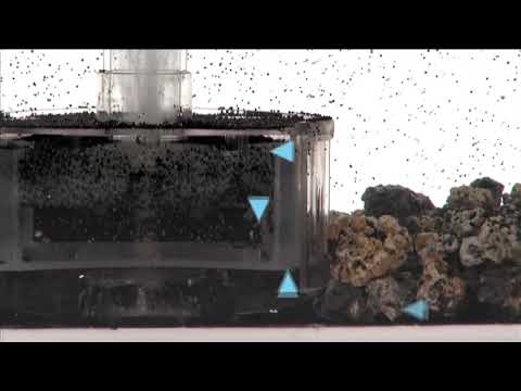 BiOrb filtration in action