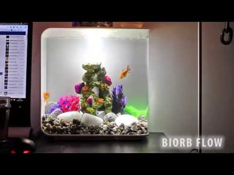 Biorb Flow 30L Fish Tank with 2 happy fish