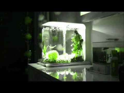 BiOrb Flow
