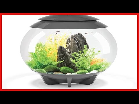 biOrb Halo 30 Aquarium with MCR Lighting – 8 Gallon, Grey