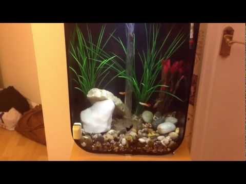 Biorb Life 45 Litre Update 3