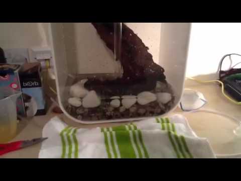 Biorb Life 45 Set up part 2