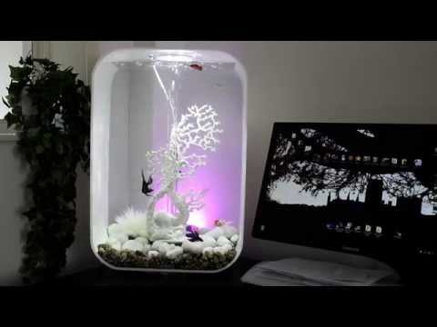 BiOrb Life 60 fish tank with tropical/coldwater fish