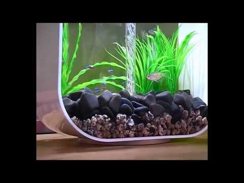 biOrb Life Aquarium Collection