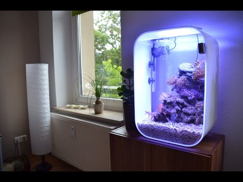 BiOrb marine reef tank – Meerwasseraquarium