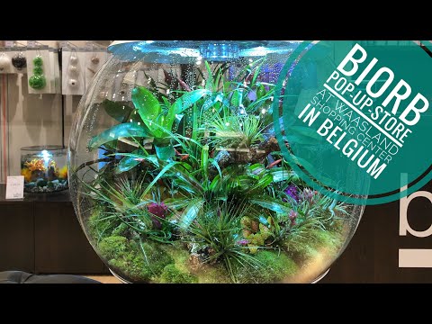 biOrb Pop-up-Store at Waasland Shopping Center in Belgium