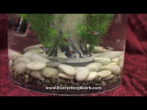 Biorb White Feng Shui Pebbles in Biube Pure