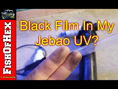 Black Film Inside Jebao UV Sterilizer | Guess It's True.. Now What?