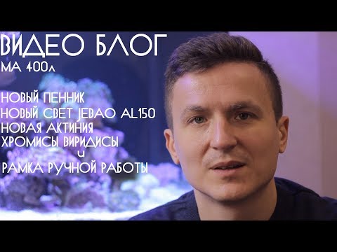 Новый пенник. Новый светильник Jebao AL 150. Рамка ручной работы.