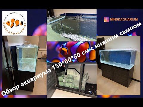 Обзор аквариума с нижним сампом. Аквариум 150*60*60. Самп 80*40*40.
