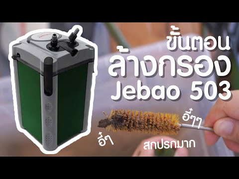ล้างกรองตู้ปลา กรองนอก Jebao 503 สำหรับตู้ 24 นิ้ว l มาแรง Mod Channel